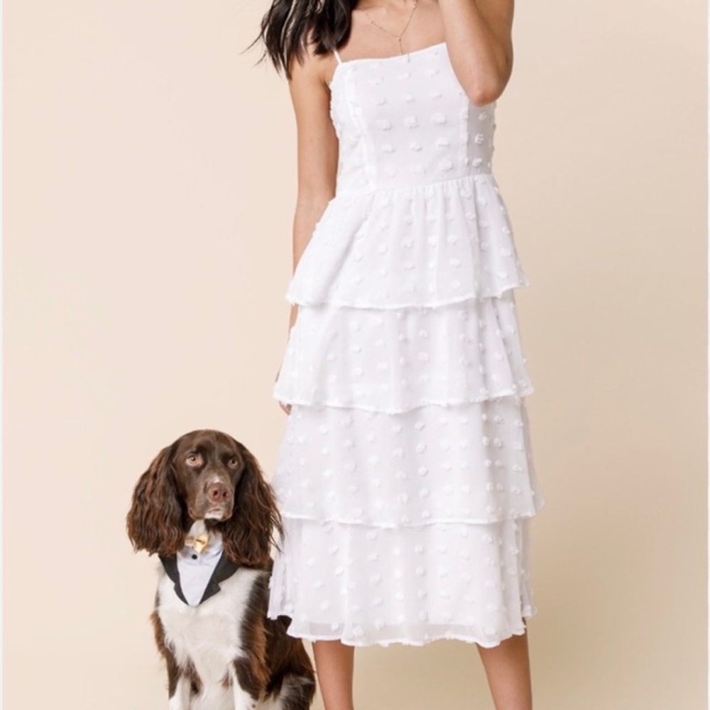 🤍 NWT Francesca’s white polka dot midi dress 🤍